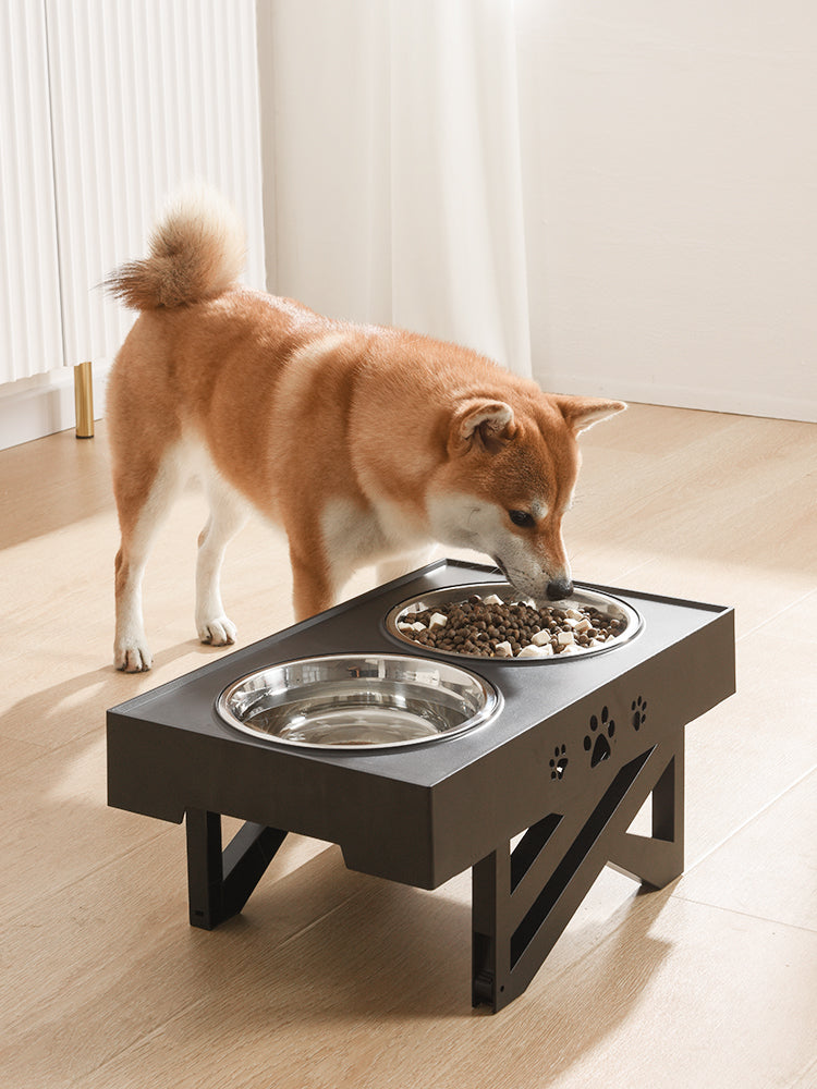 Stainless Steel Folding Dog Bowl