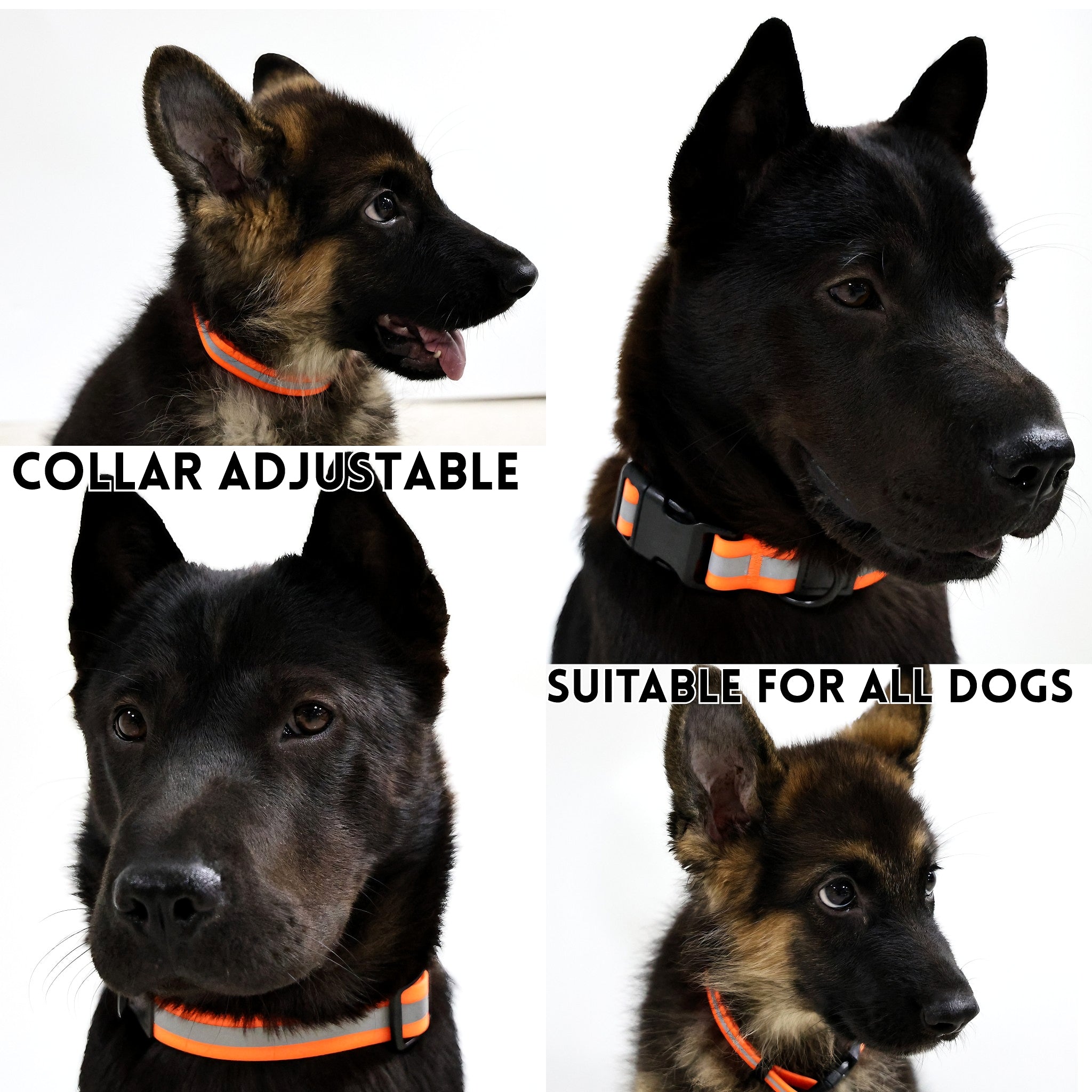 Reflective Dog Leash Set