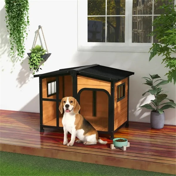 Outdoor Dog House