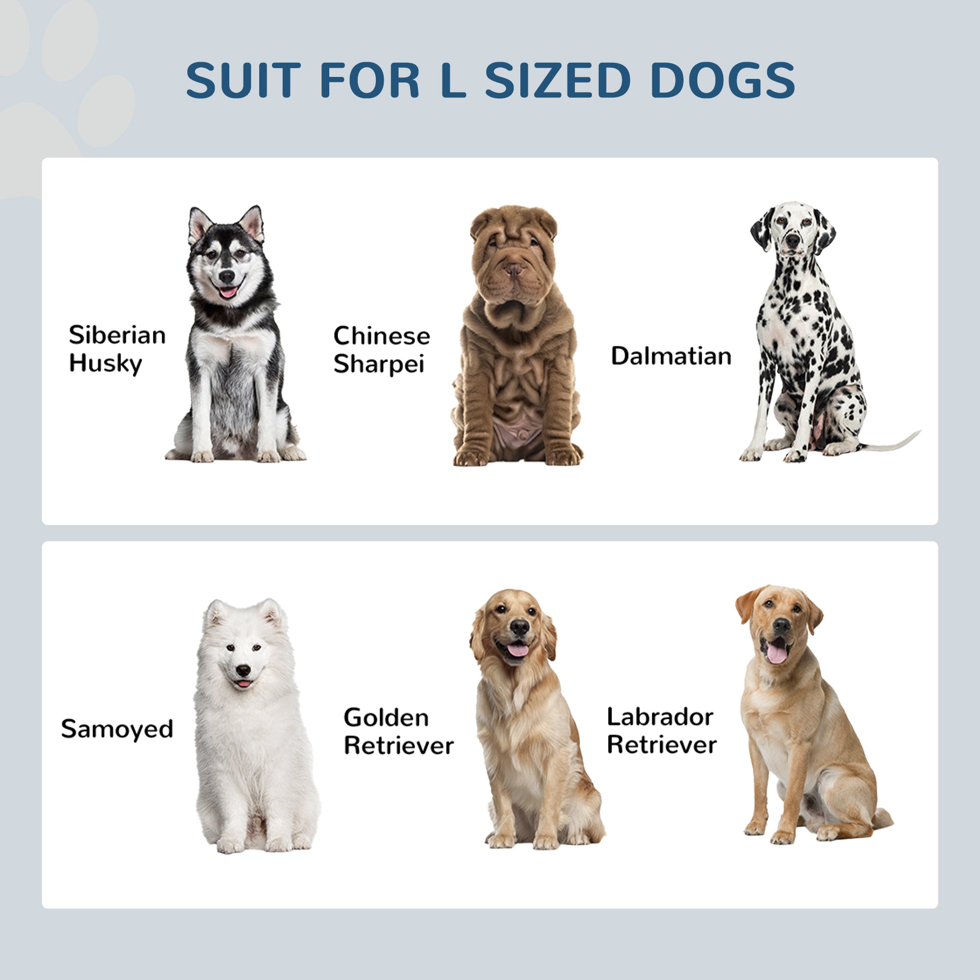 Elevated Dog Feeding Station with Storage