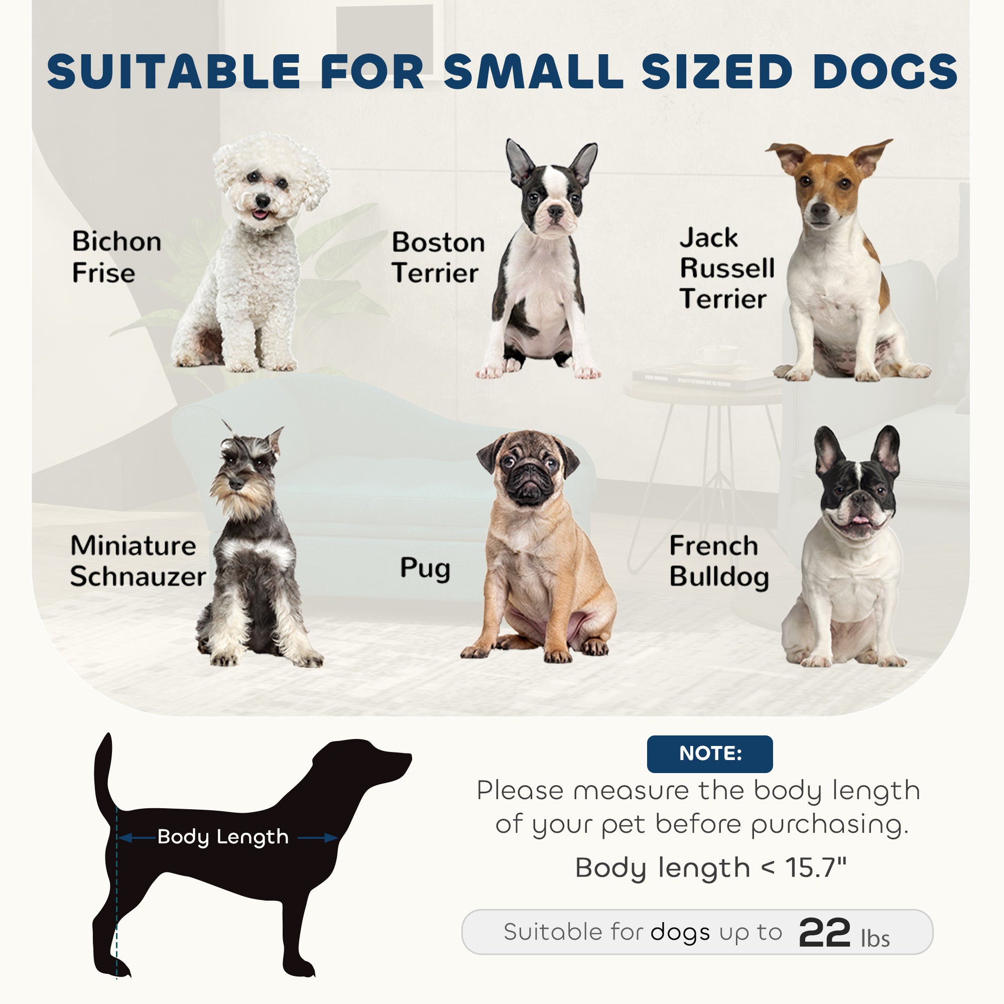 Pet Sofa Bed with Storage