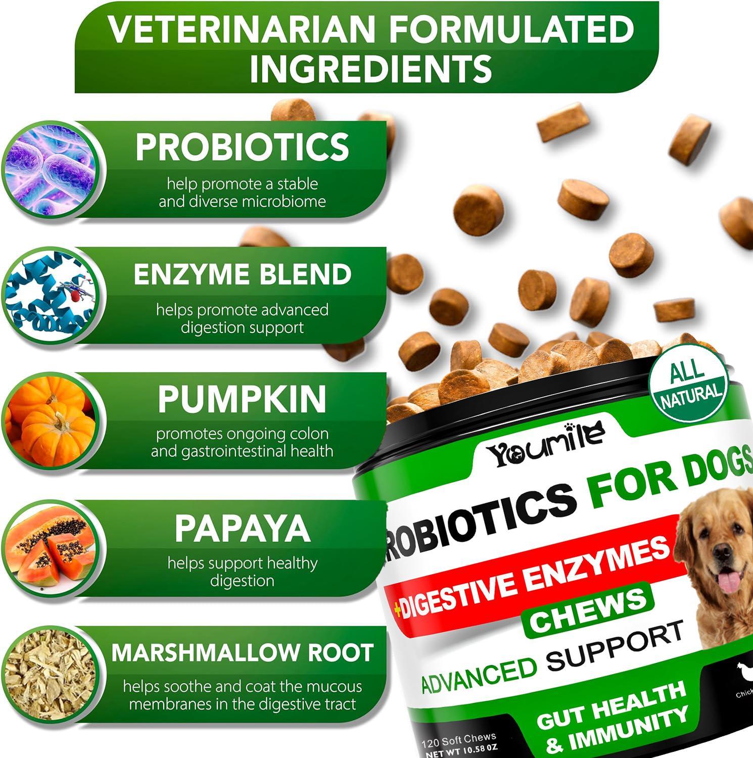 Probiotic Soft Chews for Dogs
