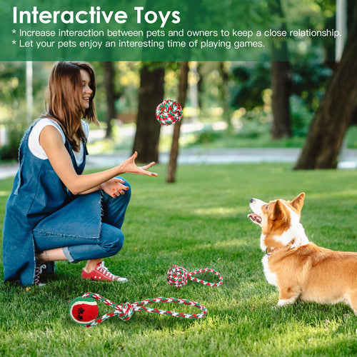 Christmas Dog Rope Chew Toy Set (5-Pack)