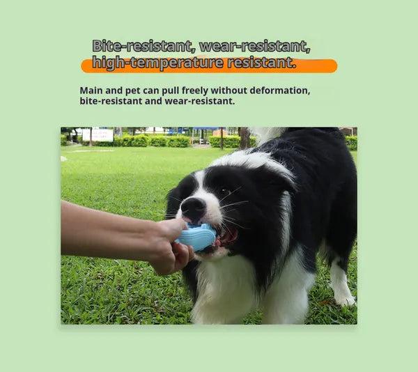 Silicone Corn Chew Stick for Dogs