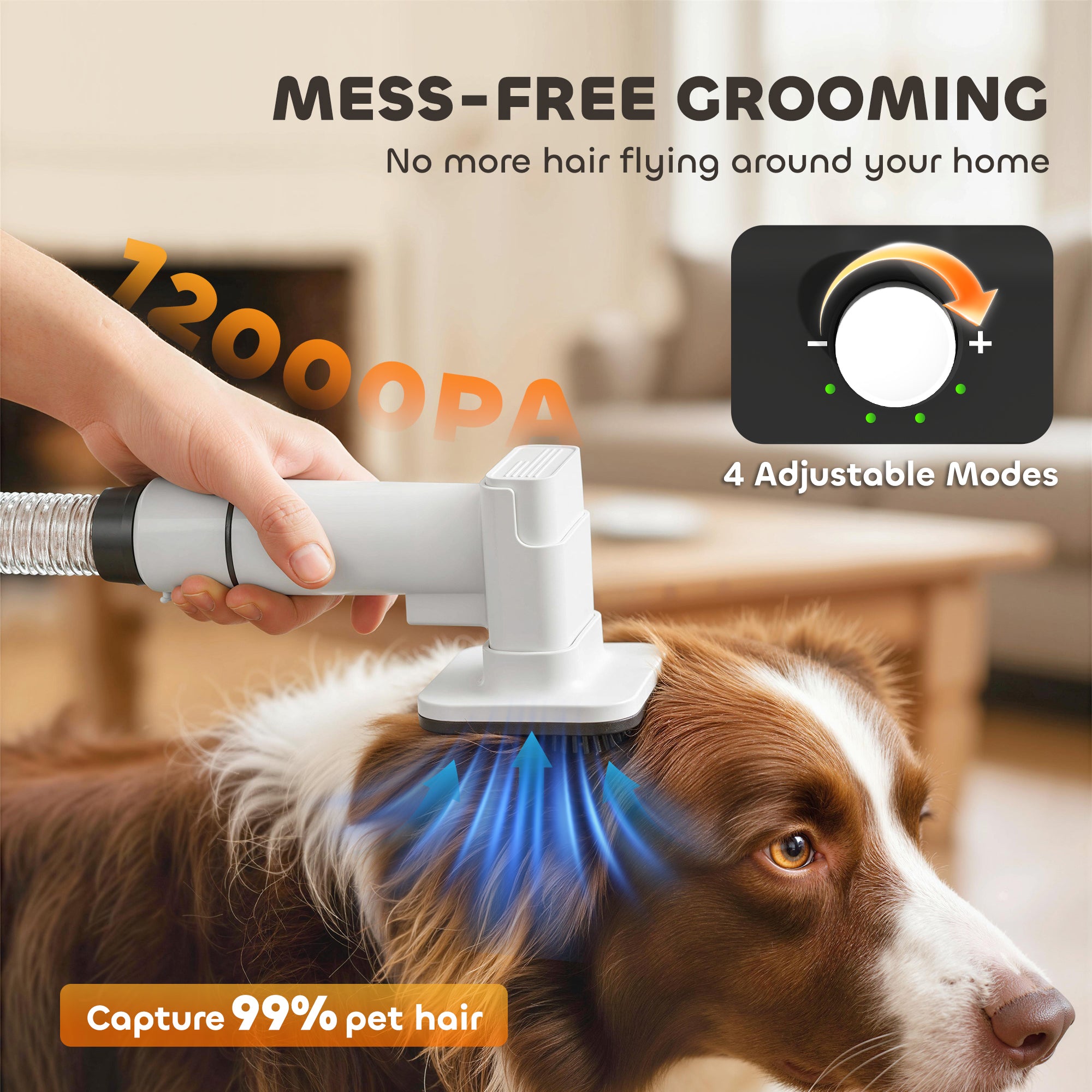 5-in-1 Dog Grooming Vacuum & Dryer