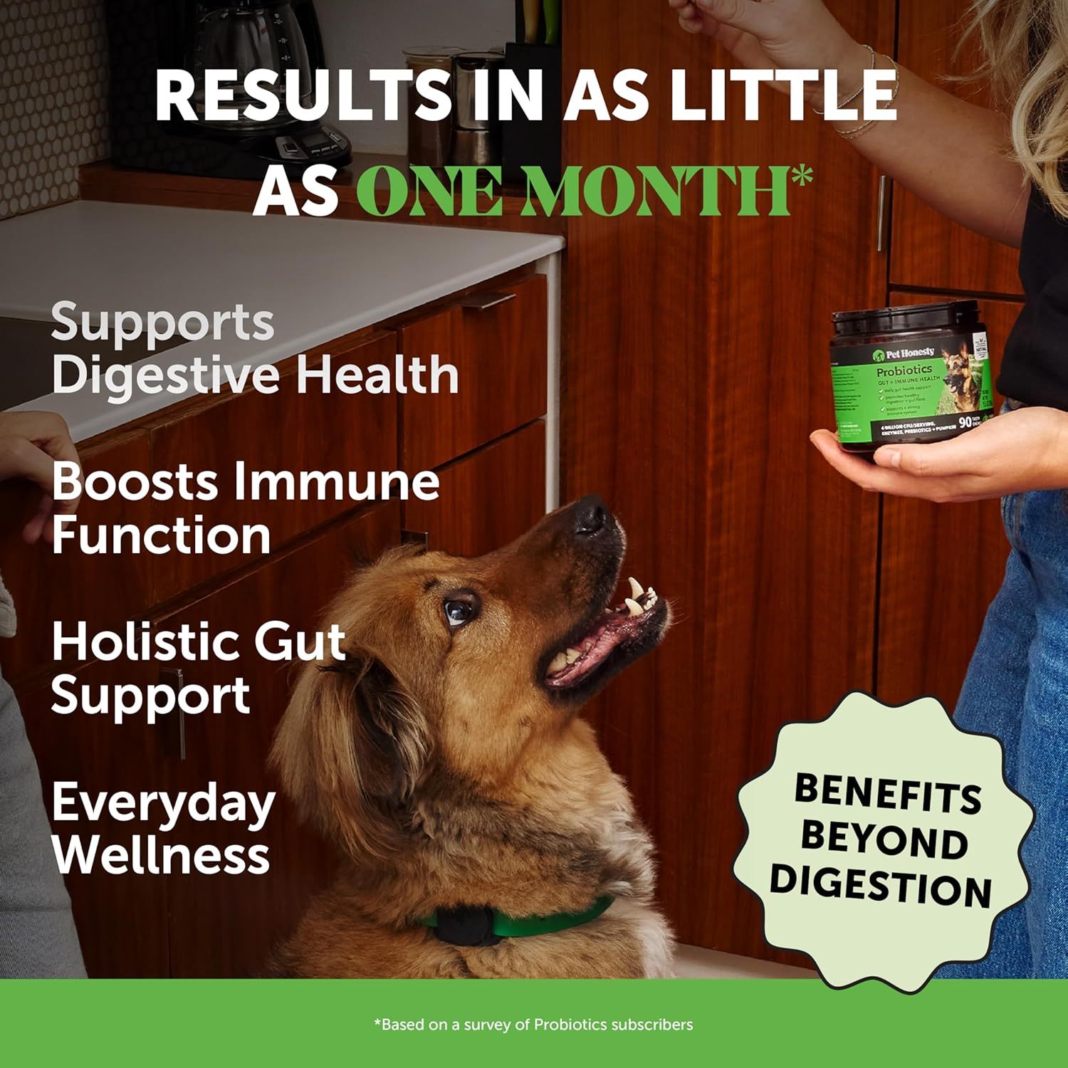 Probiotic Soft Chews for Dogs