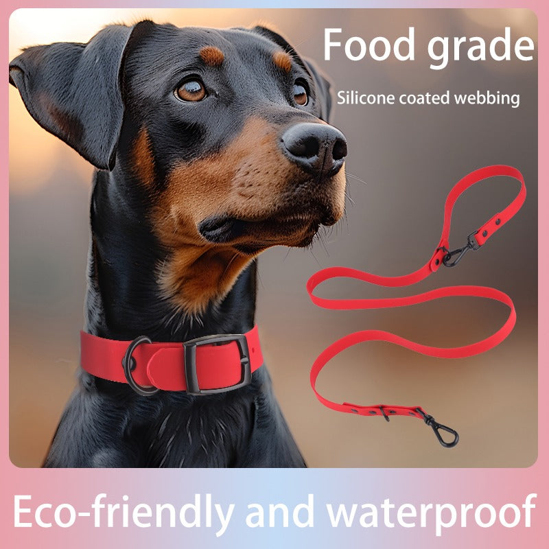 Waterproof Silicone Dog Collar & Leash Set